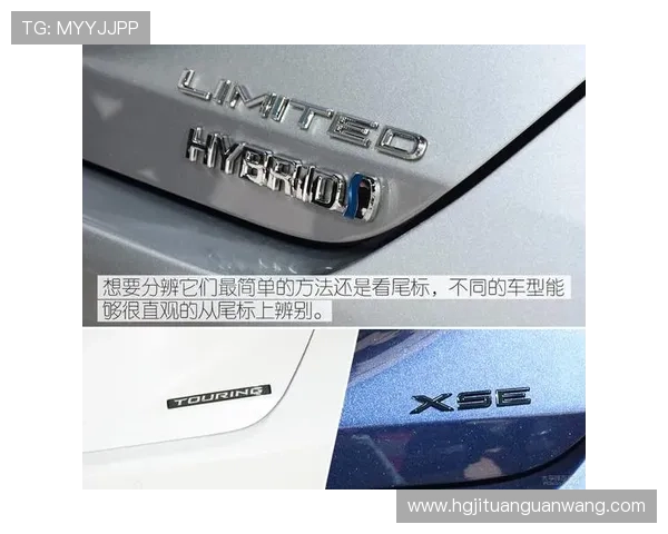 皇冠官网平台登录常见问题及解决方案，确保顺畅使用体验