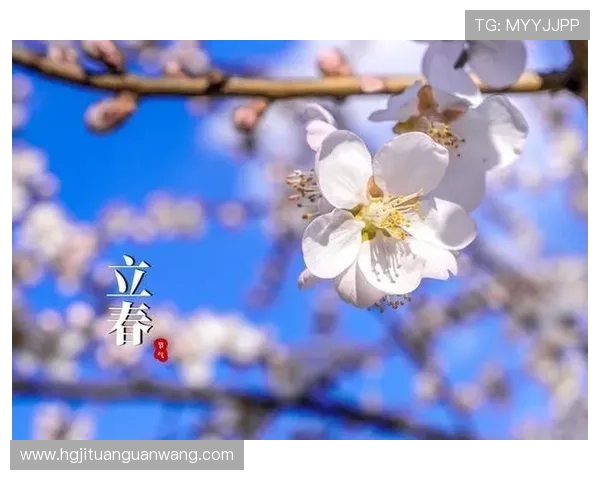 七星在线地址官方入口2026年最新版本，轻松找到安全登录通道